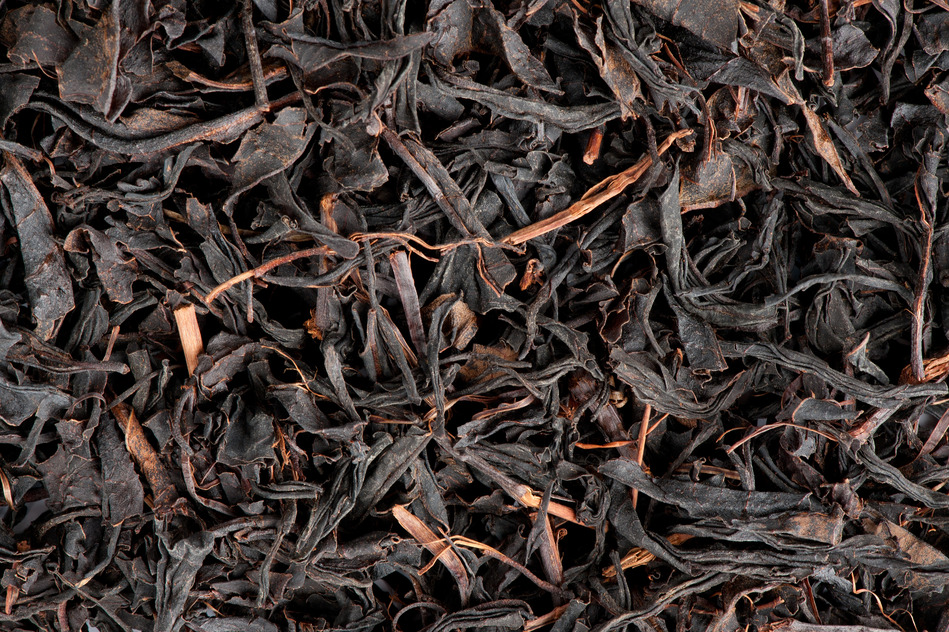 Tea Tannins Part 1 – A Primer