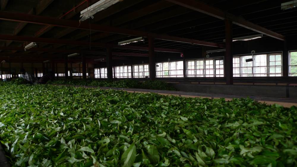 Tea Factory by Purblind, on Flickr