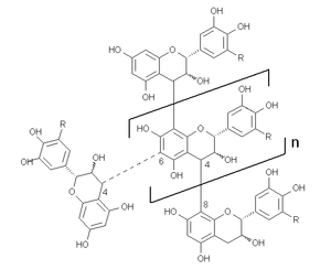 Schematic representation of a condensed tannin molecule