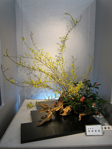 Japanese flower arrangement 49, Ikebana: いけばな