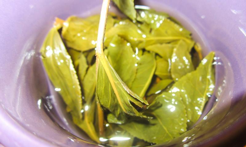 Cup of Green Tea, by Talia Hirsch